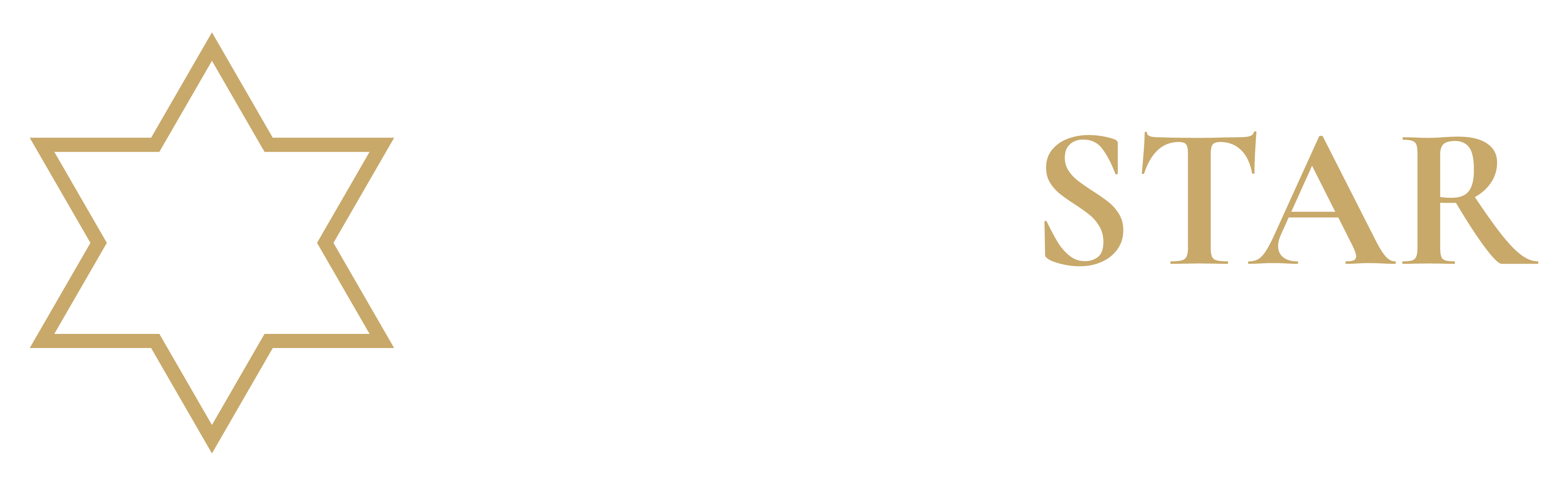 Lone Star Capital Partners